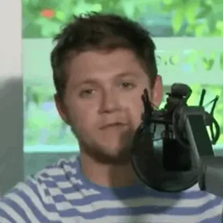 🎸 Niall Horan Pessoa, Celebridade, Microfone, Cantor, One Direction telegram sticker