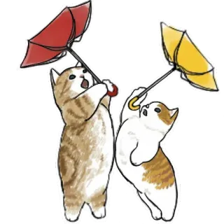 🌂 gatos, paraguas, lindo, animales, clima, día lluvioso whatsapp sticker