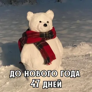 🎄 ДО НОВОГО ГОДА 47 ДНЕЙ neige, ours, bonhomme de neige, hiver, nouvel an, compte à rebours, fête whatsapp sticker