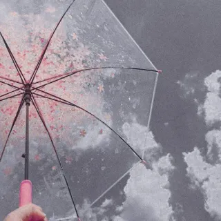 ✨ Regenschirm, Regentag, Himmel, Wolken, Rosa, Blumenmuster, Klar, Wetter telegram sticker