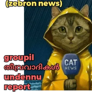 Mallu Cat @Sticker_Pack_Channel telegram stickers
