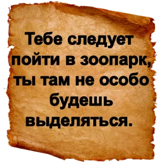 🐒 Тебе следует пойти в зоопарк, ты там не особо будешь выделяться. зоопарк, оскорбление, шутка, русский telegram sticker