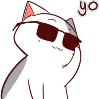 😎 yo mèo, ngầu, kính râm, động vật, dễ thương, nhãn dán telegram sticker