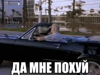 🌟 ДА МНЕ ПОХУЙ русский, оскорбительный, машина, вождение, мем whatsapp sticker