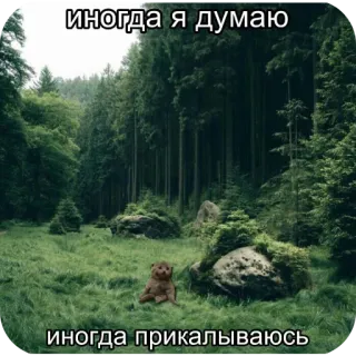 котята в депрессии telegram stickers