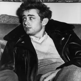 🌛 James Dean актер, кинозвезда, знаменитость, черно-белое, портрет, кожаная куртка telegram sticker