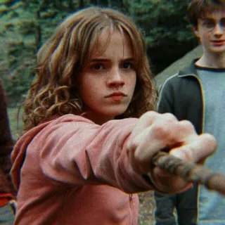 🐿 Hermione Granger Harry Potter Hermelien, Harry Potter, toverstaf, magie, heks, Emma Watson telegram sticker