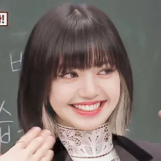 🌼 Lisa Лиса, Blackpink, K-Pop, певица, айдол, улыбается, женщина, знаменитость telegram sticker