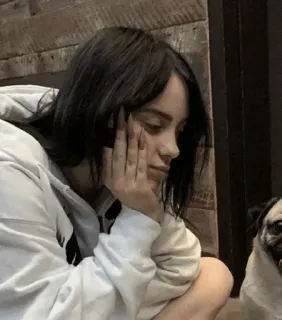 💚 Billie Eilish billie eilish, cantante, musicista, carlino, cane, celebrità, ritratto telegram sticker