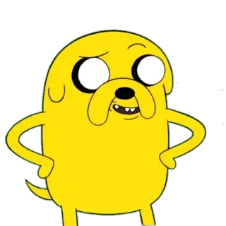 😏 Jake Adventure Time Cartoon, Jake, Adventure Time, Hund, lustig, Animation telegram sticker