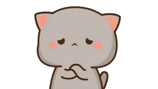 🍩 Katze, traurig, süß, Tier telegram sticker