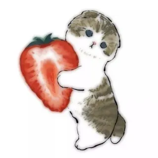 💗 kot, truskawka, słodki, zwierzę, kociak, zwierzę domowe telegram sticker