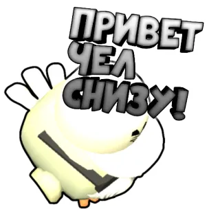 👇 ПРИВЕТ ЧЕЛ СНИЗУ! pássaro, russo, saudação, olá, frango, animal telegram sticker