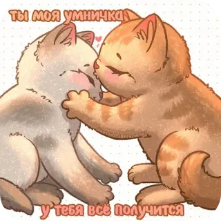 🖼 Ты моя умничка! У тебя всё получится! 猫, 猫, 可愛い, キス, 愛, 動物, 愛情 telegram sticker