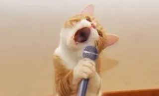 🎤 gato, micrófono, cantando, gritando, animal whatsapp sticker