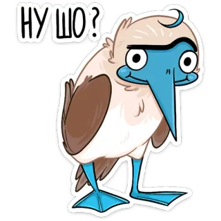 ❓ НУ ШО? птица, голубоногая олуша, наклейка, мультфильм, животное, юмор, смешной telegram sticker