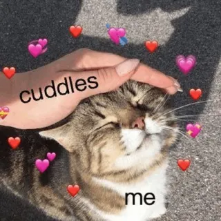 ⚡️ cuddles me gato, abrazos, corazones, lindo, mascota, amor, cariño telegram sticker