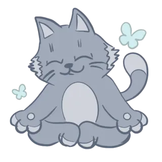 😌 Katze, Meditation, Schmetterling, friedlich, ruhig, Tier, Zen, Yoga whatsapp sticker