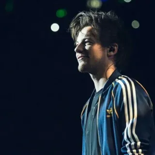 😏 Louis Tomlinson Louis Tomlinson, cantor, One Direction, celebridade, música telegram sticker
