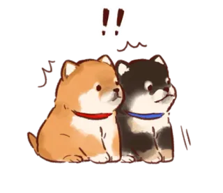❕ cane, shiba inu, cucciolo, carino, kawaii, adesivo whatsapp sticker