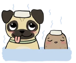 😌 dog, pug, potato, cute, bath, cartoon, animal telegram sticker