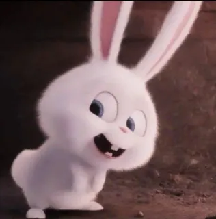🐰 Snowball The Secret Life of Pets coelho, coelhinho, branco, desenho animado, fofo, animal, animal de estimação whatsapp sticker