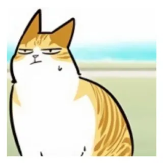 🤦‍♂️ Katze, Tier, Meme, Lustig, Cartoon, Sticker telegram sticker
