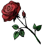 🌹