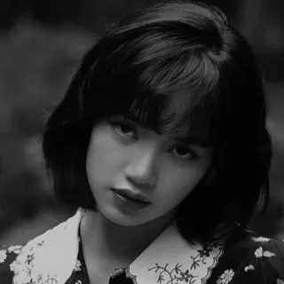 😉 Lisa Lisa, Blackpink, K-pop, ca sĩ, thần tượng, nhạc sĩ, phụ nữ, người nổi tiếng whatsapp sticker