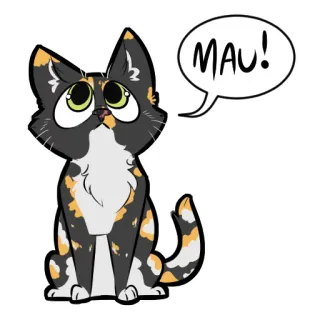 😳 MAU! chat, calico, animal de compagnie, chaton, animal, miaou whatsapp sticker