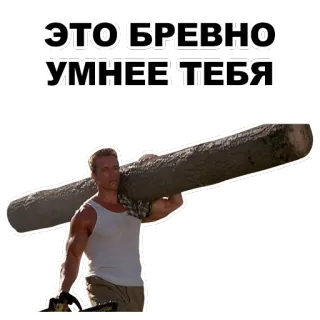 😒 ЭТО БРЕВНО УМНЕЕ ТЕБЯ mem, śmieszne, kłoda, hantla, Arnold Schwarzenegger telegram sticker