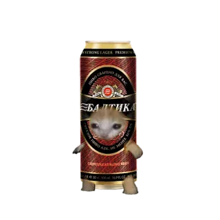 🍺 Балтика เบียร์, แอลกอฮอล์, แมว, มีม, Baltika whatsapp sticker