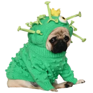 @pug_leonid telegram stickers