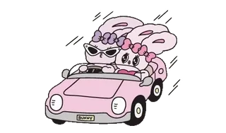 🌟 Bunny konijn, auto, rijden, schattig, cartoon, roze telegram sticker