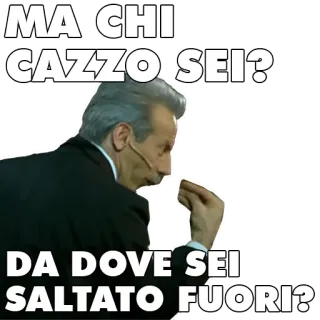 ❓ MA CHI CAZZO SEI?
DA DOVE SEI SALTATO FUORI? italien, juron, geste, insulte, homme whatsapp sticker