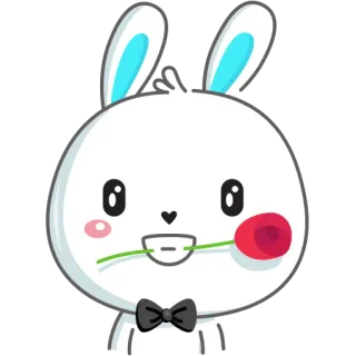 🌹 Hase, Kaninchen, Blume, süß, Cartoon, Fliege telegram sticker