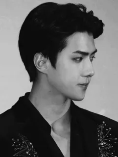 ➖ Sehun Sehun, Kpop, EXO, Idol, Cantor, Preto e branco, Perfil telegram sticker
