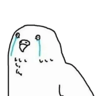 😭 นก, ร้องไห้, เศร้า, น้ำตา, สีขาว telegram sticker