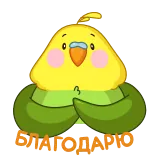 🙏 ANTOPOARO cute, bird, cockatiel, parrot, yellow, green telegram sticker