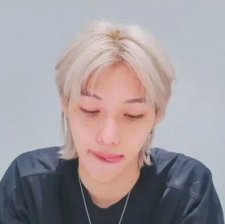 😔 Felix kpop, idol, stray kids, selfie, portrait, male telegram sticker