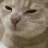 😋