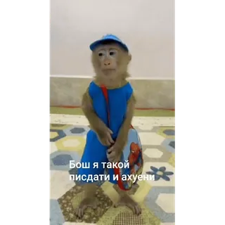 🐵 Бош я такой пиздати и ахуени mono, animal, lenguaje ofensivo, jerga, ruso, meme whatsapp sticker