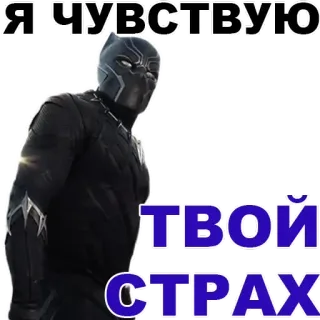 ✨ Black Panther Я ЧУВСТВУЮ ТВОЙ СТРАХ Black Panther, super-héros, Marvel, peur, Wakanda, T'Challa telegram sticker