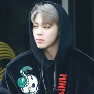 🍪 MININ kpop, hoodie, skull, snake, idol whatsapp sticker