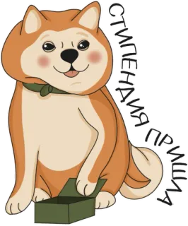 Веские поводов бросить универ - @otch1sleno telegram stickers