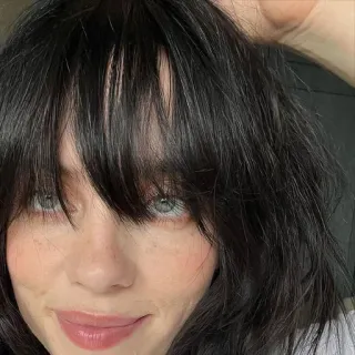 🍯 Billie Eilish Billie Eilish, penyanyi, selebriti, potret, artis musik telegram sticker