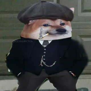 🚬 강아지, 피키 블라인더스, Doge, 셸비, 밈, 시가, 갱스터 telegram sticker