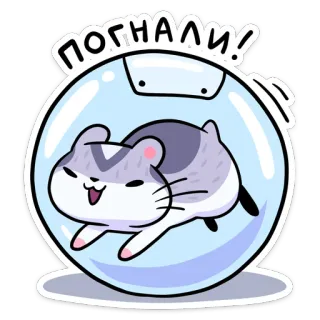 🏃‍♂️ ПОГНАЛИ! 햄스터, 동물, 귀여운, 재미, 가자, 거품, 러시아 telegram sticker