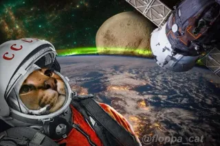 📡 cat, space, helmet, floppa, animal, planet, astronaut telegram sticker