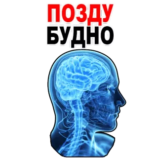 Tired Brain @stickersb2b whatsapp stickers